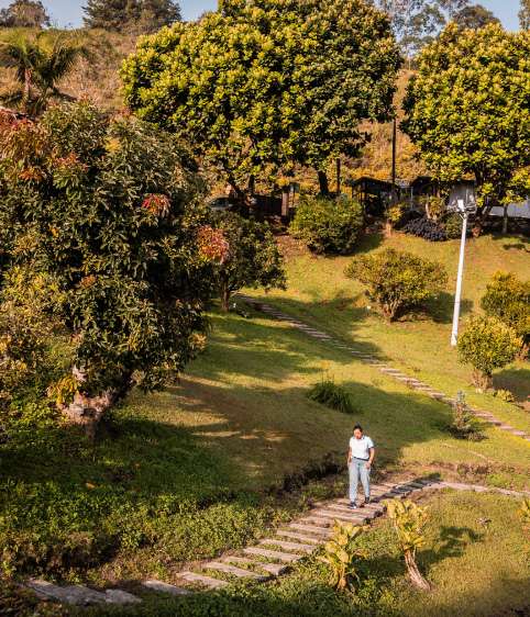Zonas verdes Centro Recreativo El Rocío